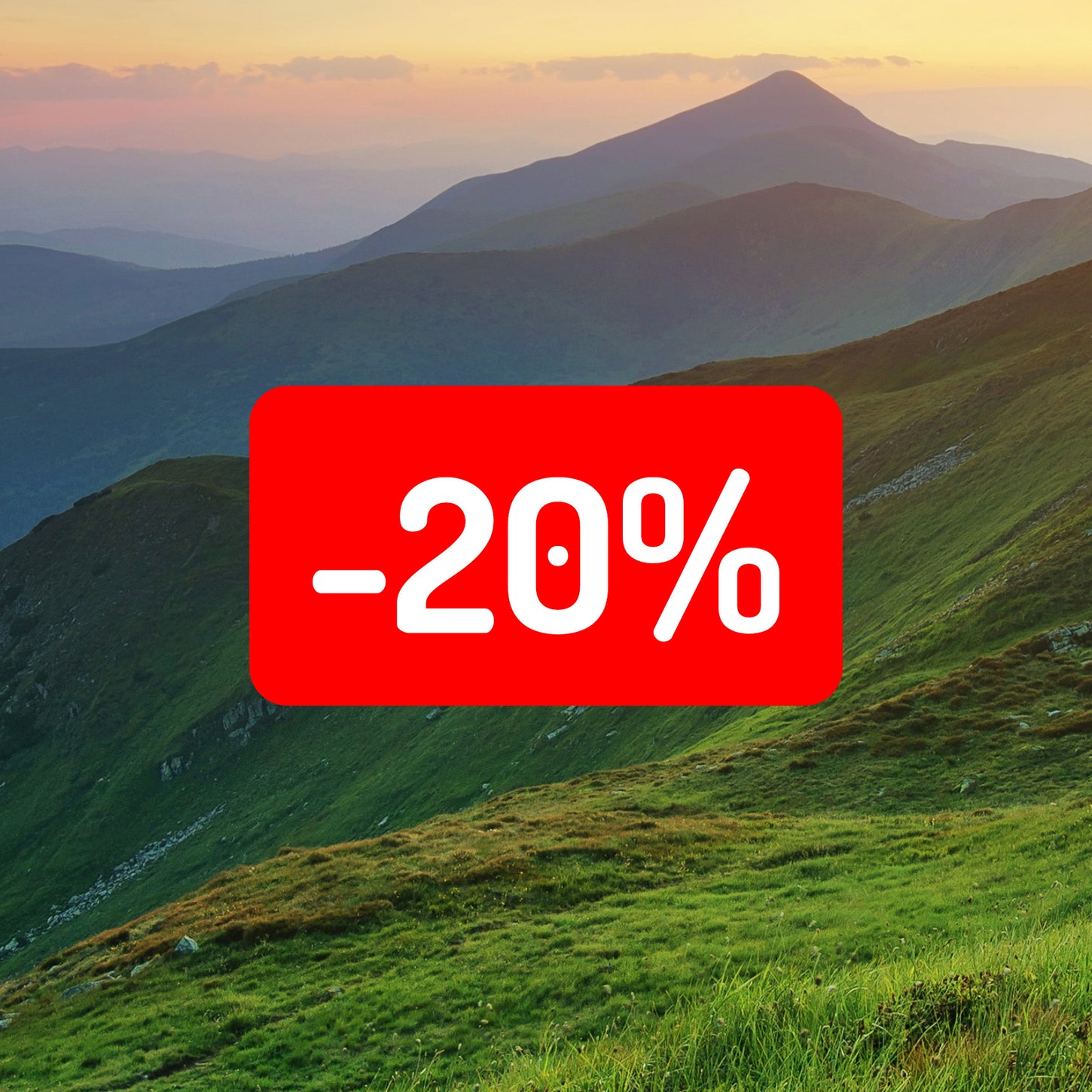 -20% Rabatt