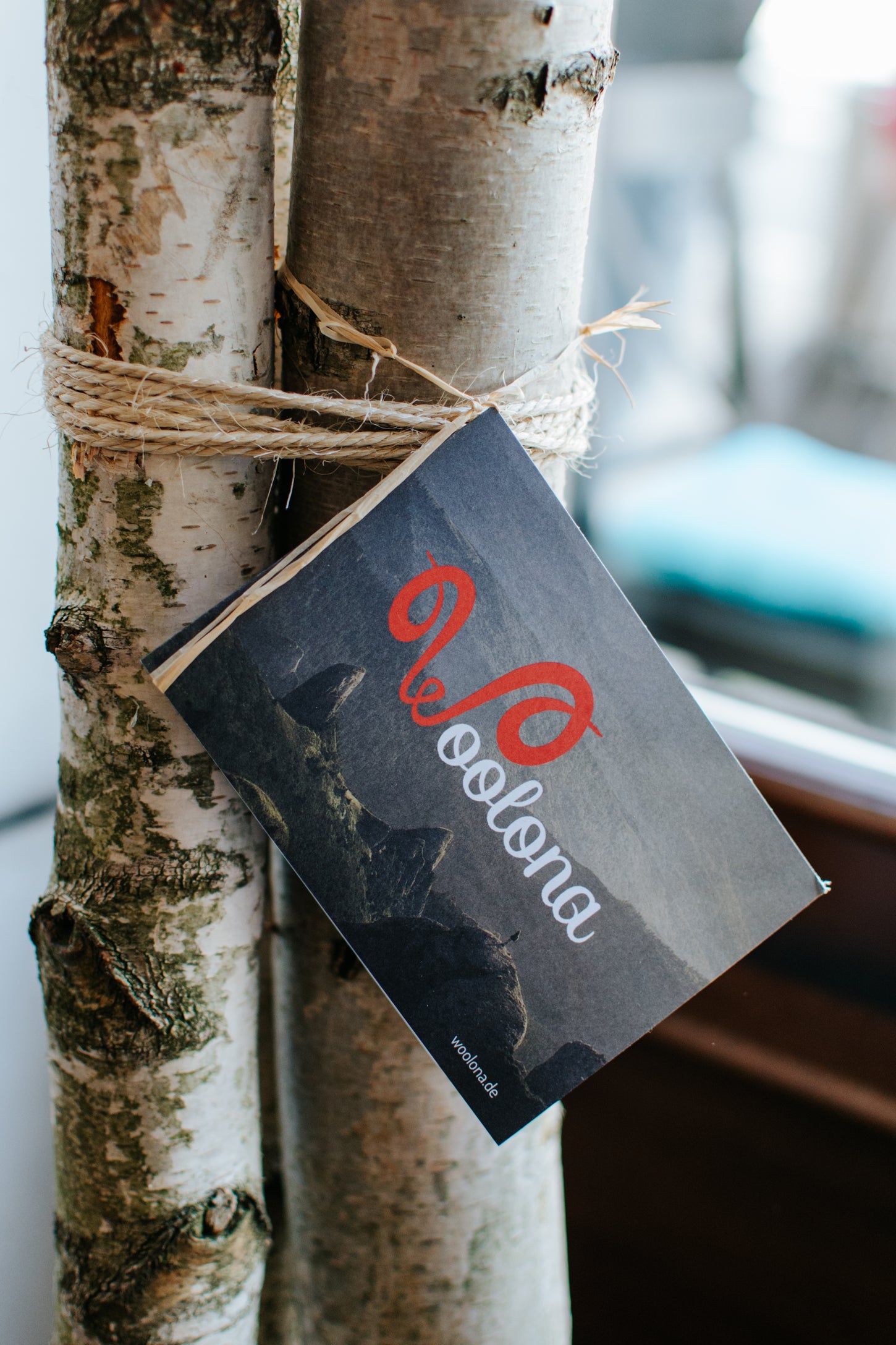 Ein Woolona Flyer hängt an einem Birkenbaum.